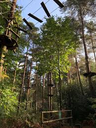 Image result for Go Ape! Alice Holt