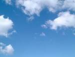 Symon WordPress Test Site » cielo-