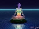The Transcendental Meditation