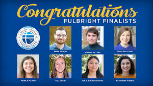 Attēlu rezultāti vaicājumam “Fuligo licentii young”