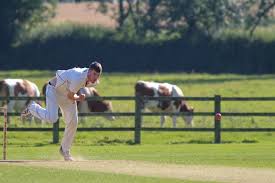 Image result for Pannal Cricket Club