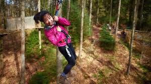 Image result for Go Ape! Grizedale