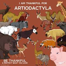 Attēlu rezultāti vaicājumam “Artiodactyla”