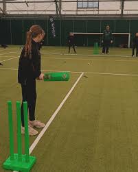 Image result for North Down Cricket Club