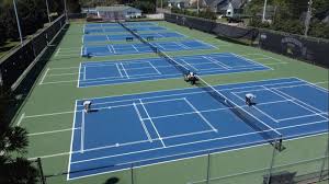 Image result for PICKLEBALL GORLESTON