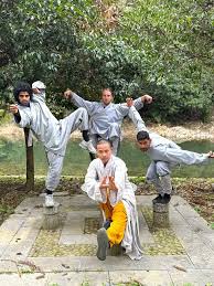 Image result for Shaolin Ancestors kung Fu School