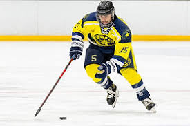 Image result for Oxford City Stars Ice Hockey Club