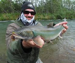 Image result for Salvelinus alpinus oquassa