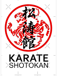 Image result for Shotokan Karate