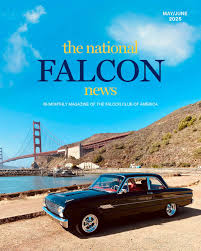 Image result for Falcon Sa Club