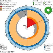 Attēlu rezultāti vaicājumam “Hedya salicella”