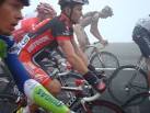 http://cdn.thinksteroids.com/wp-content/uploads/2012/03/tour-de-france-2010.jpg