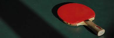 Image result for Rowhedge Table Tennis Club