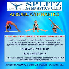 Image result for Weston Aerobic Gymnastics Club