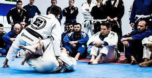 Image result for Basingstoke SMRTJ Jiu Jitsu