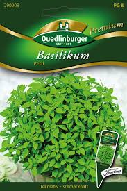 Image result for Basilikum