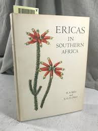 Attēlu rezultāti vaicājumam “Ericaceae”