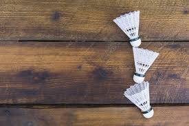 Image result for Greta Badminton Club