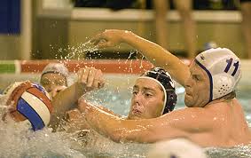 Image result for Swindon Dolphins