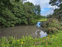 Image result for Bollington & Royal Oak Angling Society