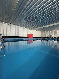 Image result for Stevenage Swimming Club