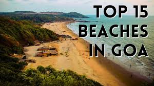 Image result for goa beaches