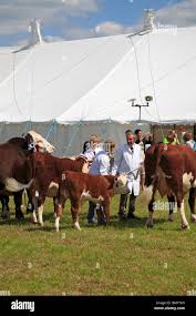 Image result for Farnley Tyas  BC