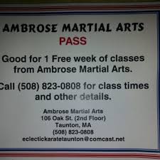 Image result for Taunton Karate Jutsu