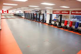 Image result for New Milton Taekwondo Club