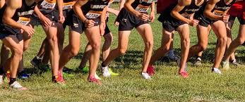 Image result for Andover Road Runners