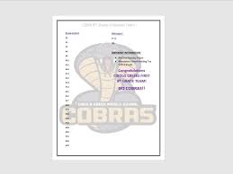 Image result for Chesterfield Cobras Volleyball Club