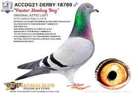 Image result for Derby Autodefence Wing Tchun