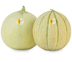 Image result for Melone