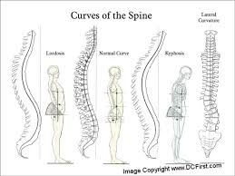 Image result for Curves