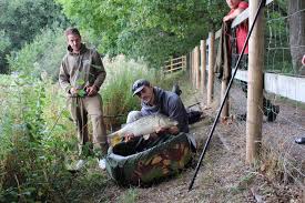 Image result for CALPAC Angling Club