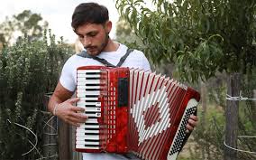 Image result for баян