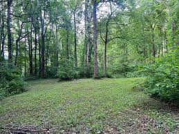 Image result for Forest (Sale) Badminton Club