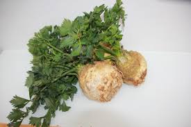 Image result for Sellerie