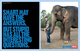 Image result for stupid diesel