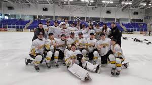Image result for Cardiff Comets Ladies Ice Hockey