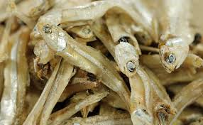 Image result for ikan