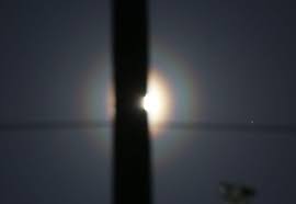 Attēlu rezultāti vaicājumam “pollen corona”