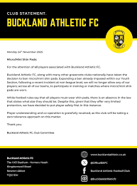 Image result for Buckland & Milber Football Club