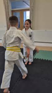 Image result for Gloucester Taijutsu Kai Self Defence