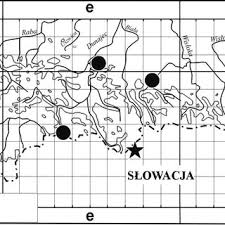 Attēlu rezultāti vaicājumam “Bryum rubens”
