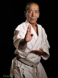Image result for Zen Shin Seicho Do Adult Karate