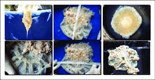 Image result for Cyanea capillata