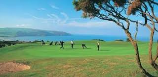 Image result for Cardigan Golf Club