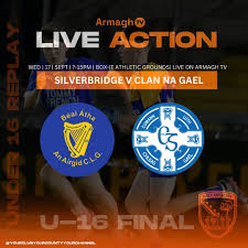 Image result for Silverbridge Harps Gac