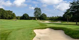 Image result for Chelmsford Gc